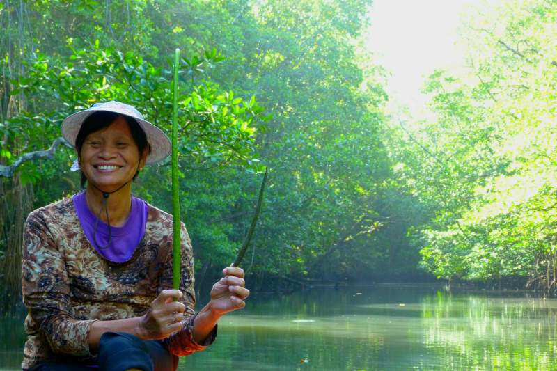 Sabang Mangrove Plant