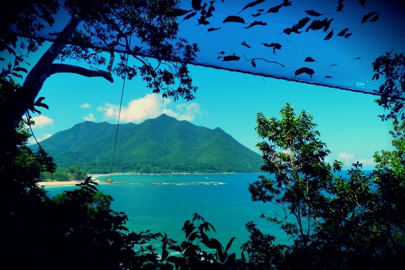 Sabang X Zipline the top