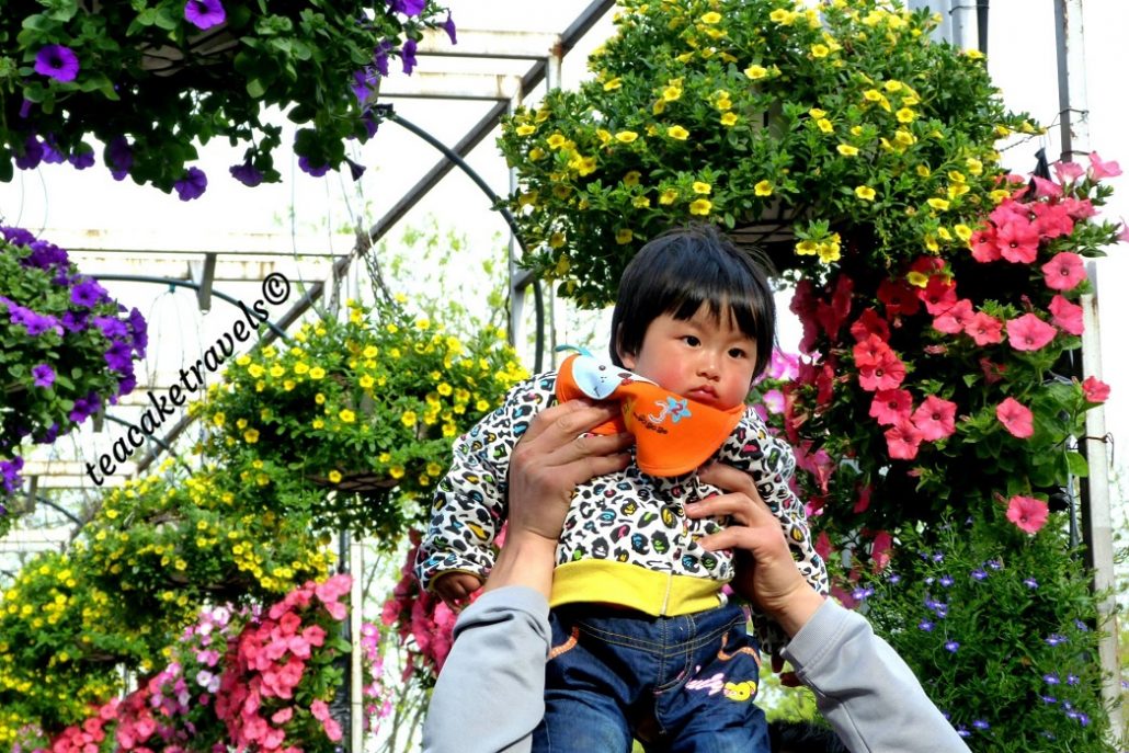 A young child holds an orange toy while being lifted up in front of hanging baskets of pink and yellow flowers.
