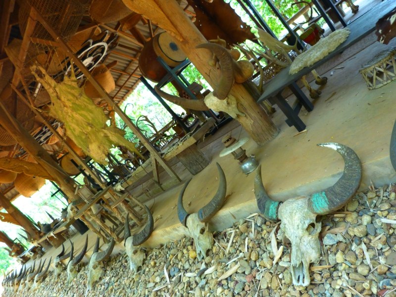 Black Temple Chiang Rai Thailand Animal Skulls