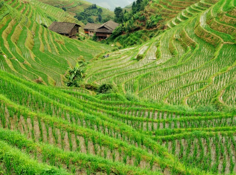 Hiking in China: Dazhai to Pingan Hike
