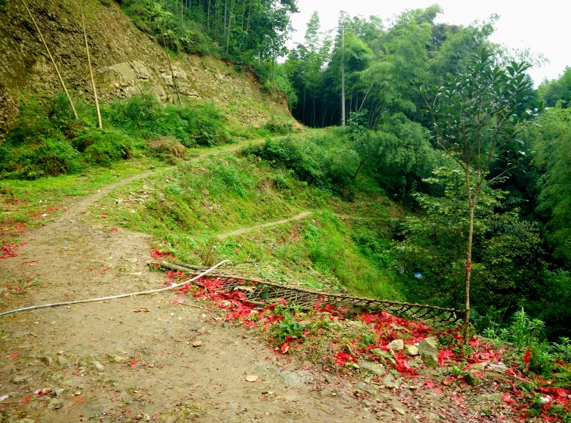 Zhonglu Village to Pingan
