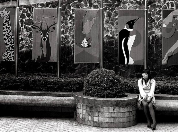 How To Create A Woman Who Goes Traveling Alone