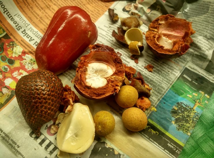 Tropical Malaysian fruits including snake fruit, longan and rose apple laid on newspaper.