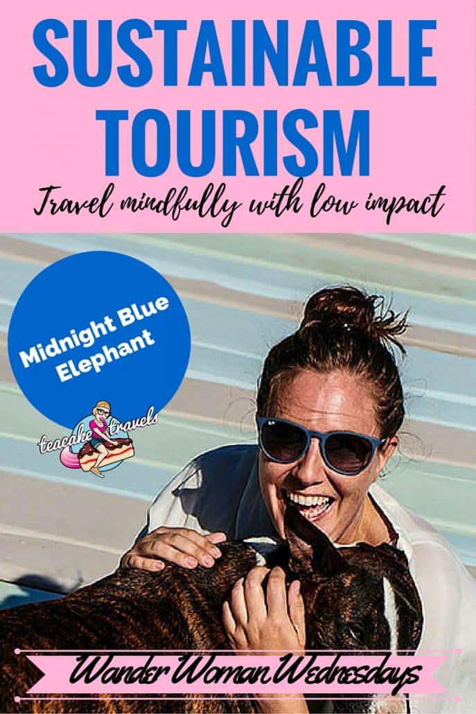 Pinterest graphic titled 'Sustainable Tourism: travel mindfully with low impact' over a woman hugging a dog.