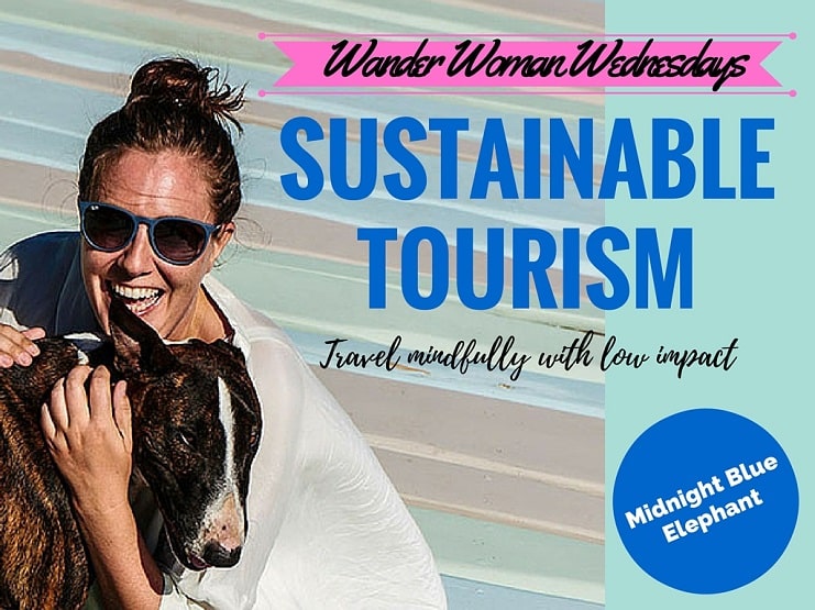 Graphic titled 'Sustainable Tourism' over Alice in sunglasses hugging a brindle dog on a beach.