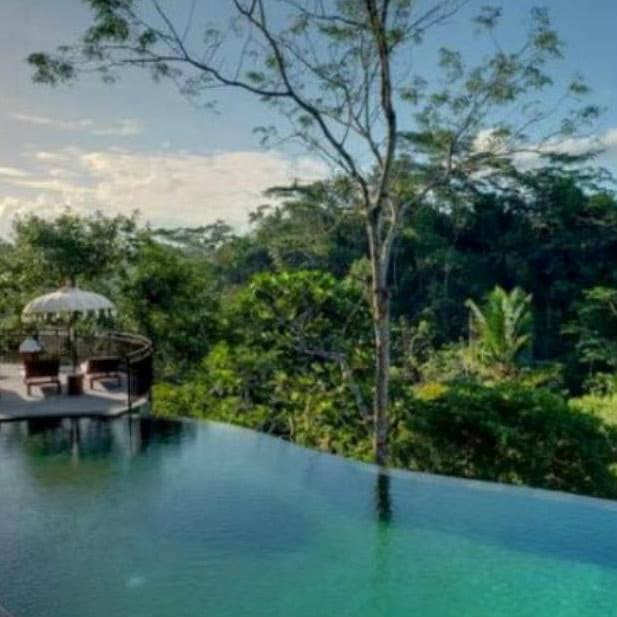 Infinity pool overlooking dense jungle valley at Komaneka at Tanggayuda, Ubud, Bali.