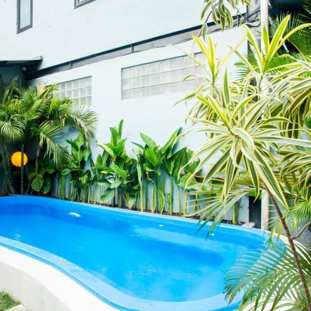 Small kidney-shaped pool edged with tropical plants against a white wall at M Hostel Seminyak, Bali.