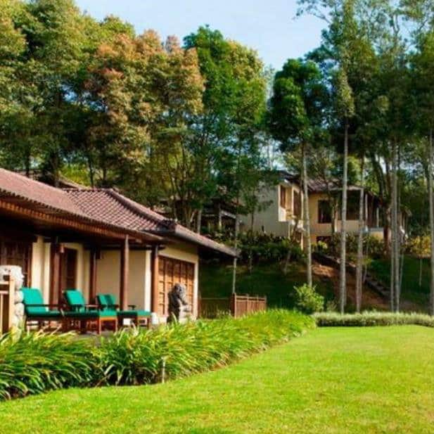 Bali villa with tiled-roof bungalows and green loungers beside a wide lawn amid trees.
