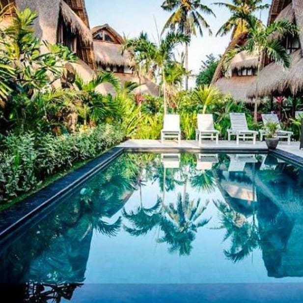 Pool reflecting palm trees among thatched bungalows and greenery at Tigerlillys Boutique Hotel, Bali.