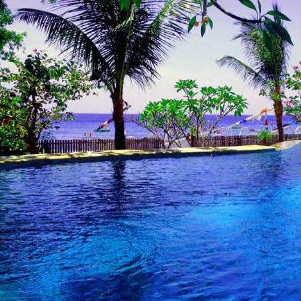 Infinity pool fringed by palm trees looking out over the sea at a Bali villa.