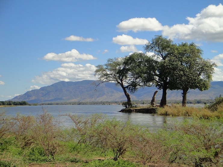 Acacia trees on a riverbank in Zambia, with hills rising beyond the water under a bright blue sky.