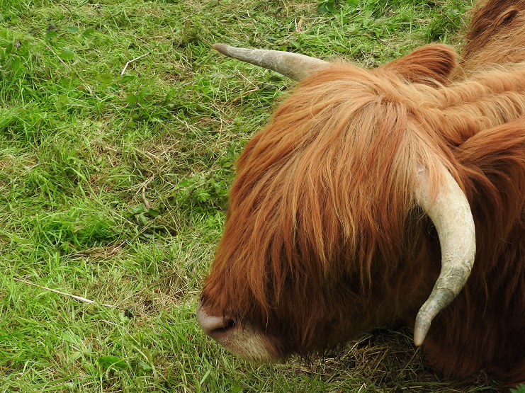 Scotland Highlands