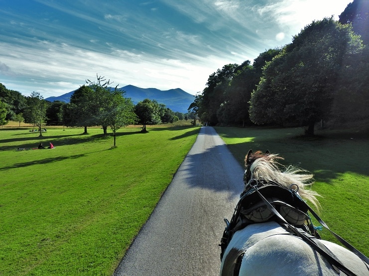 View from a horse-drawn jaunting car along a path in Killarney National Park, mountains ahead.