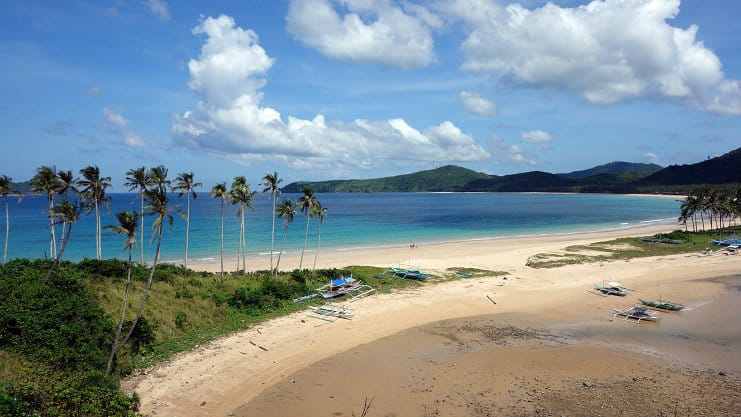 Palm trees line a wide sandy bay with turquoise water at Nacpan Beach, El Nido, Palawan.