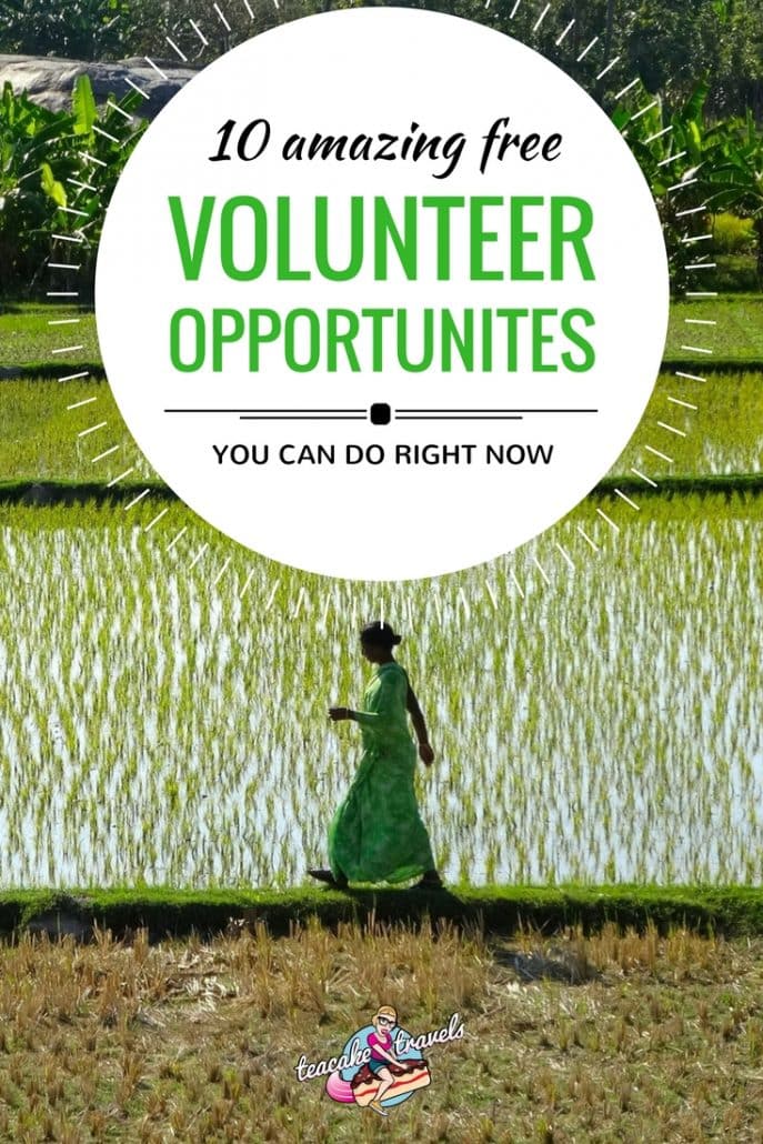 Are you looking for volunteering opportunities abroad which are free? Here's 10 places you can go right now which are unique, a ton of fun and highly rewarding!