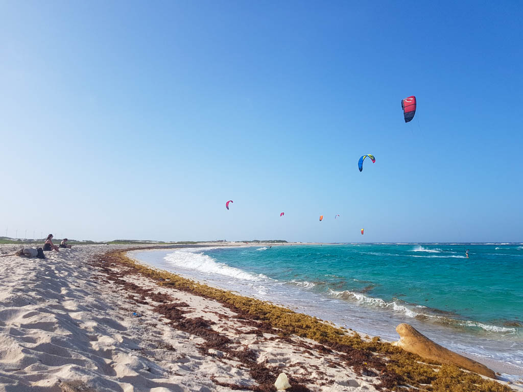 Kite surfing excursions in Aruba