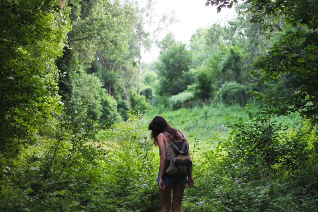Volunteer Abroad Free
