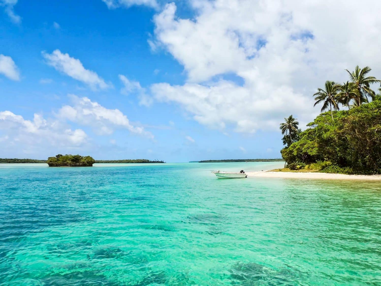 The 15 Best Hostels and Hotels in Puerto Princesa