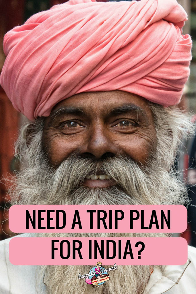 Pinterest graphic titled 'Need a trip plan for India?' over a close-up of a smiling bearded man in a pink turban.