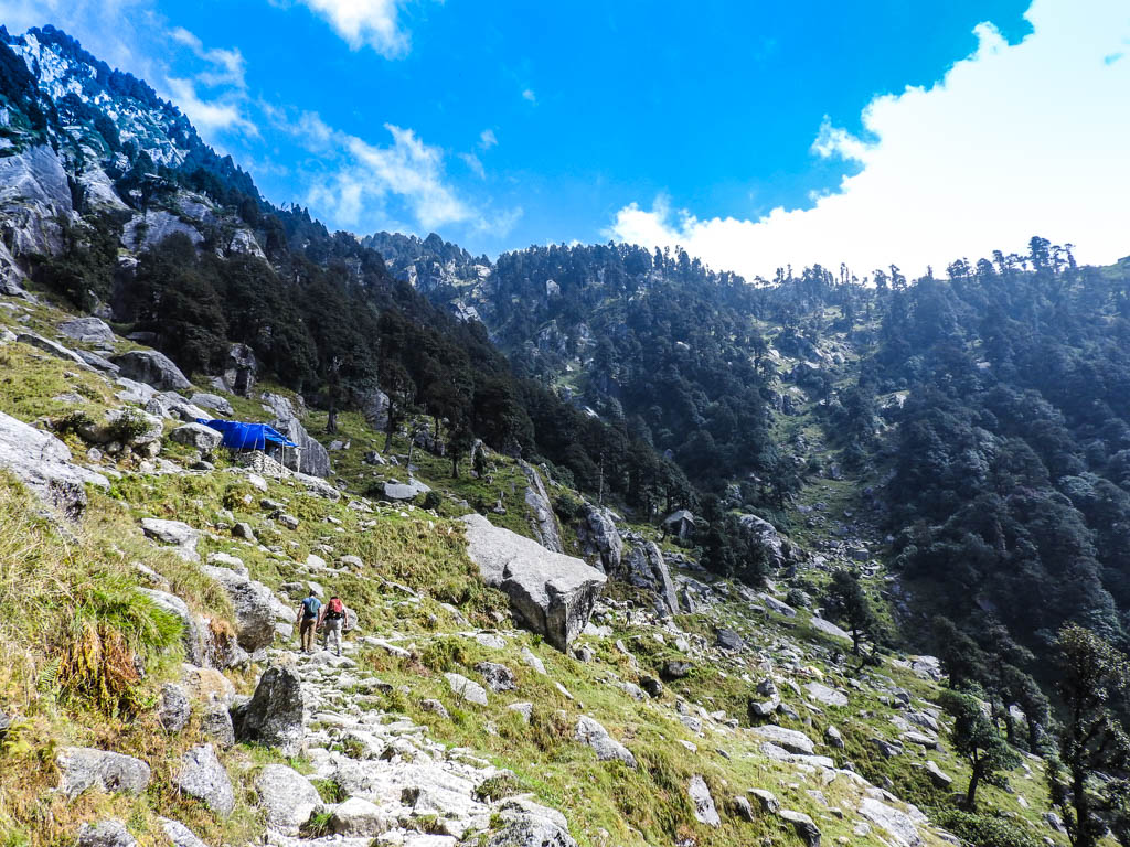 Two trekkers climb a rocky path up the forested mountainside on the Triund trek.