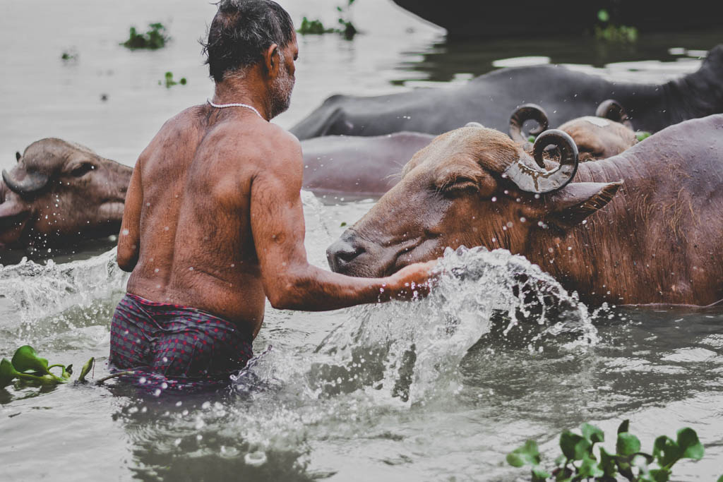 India Solo Destinations
