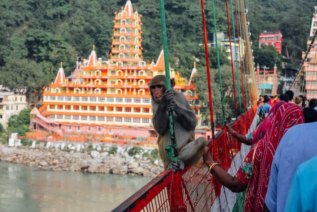 Photos of Rishikesh temple