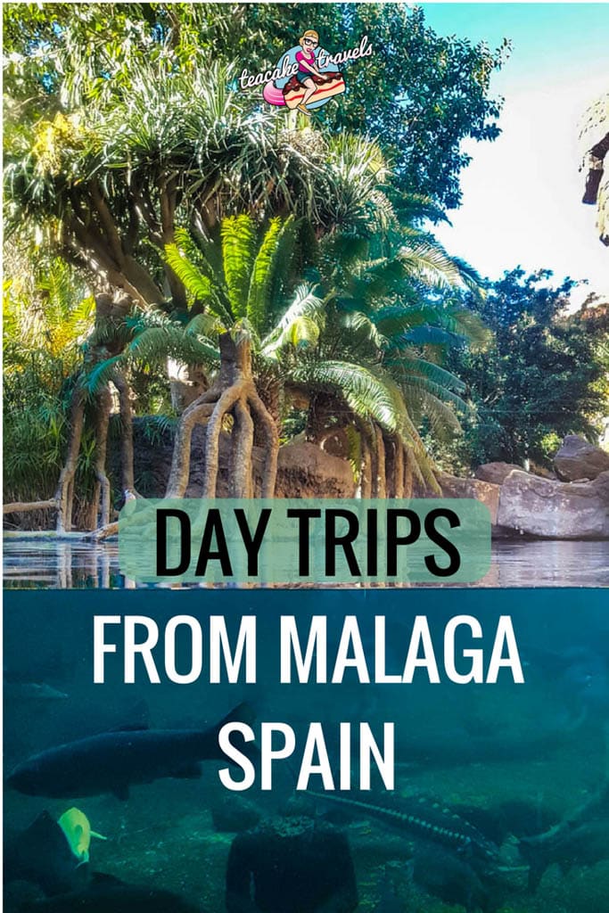Day trips from Malaga Spain