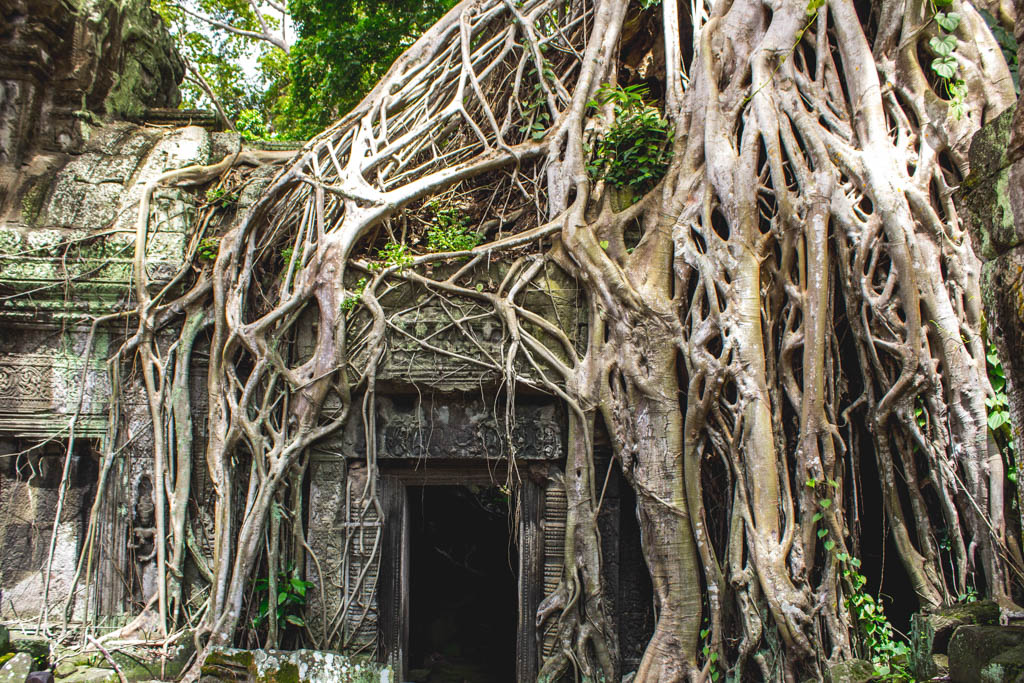 Cambodian phrases
