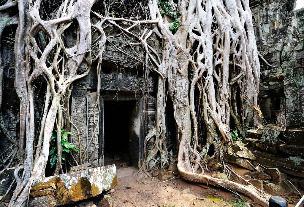 Cambodian Phrases