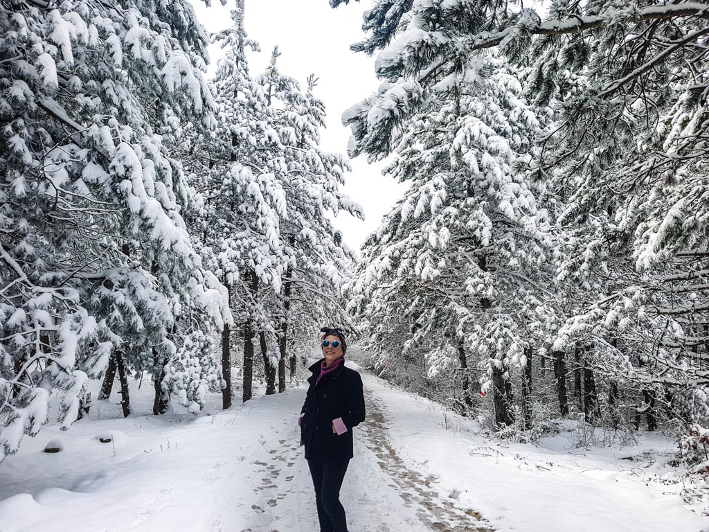 Mount Vodno Skopje Macedonia