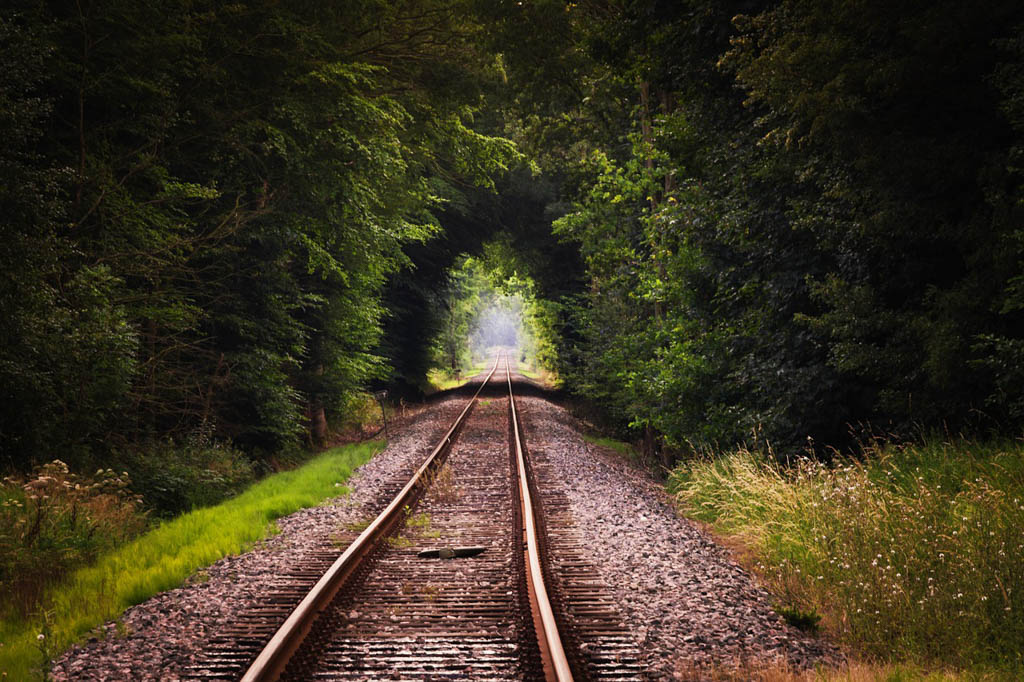 A single railway track running through a green tunnel of overhanging trees in summer.