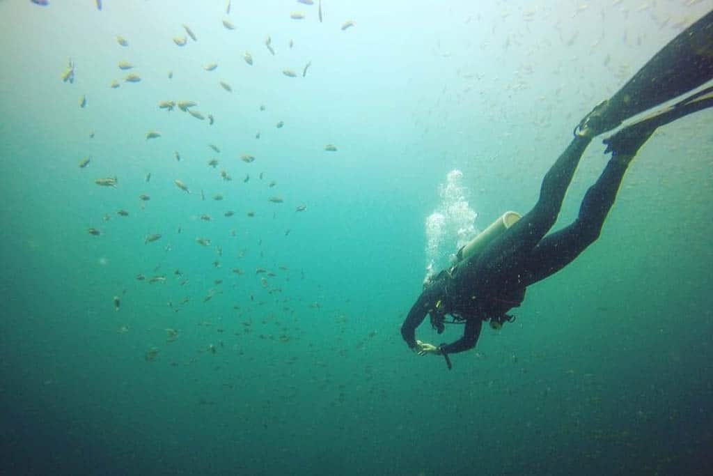 Jobs you can do while traveling