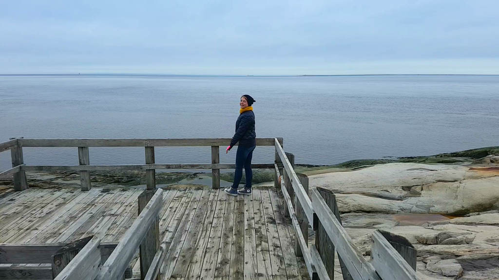 Whale Watching Tadoussac