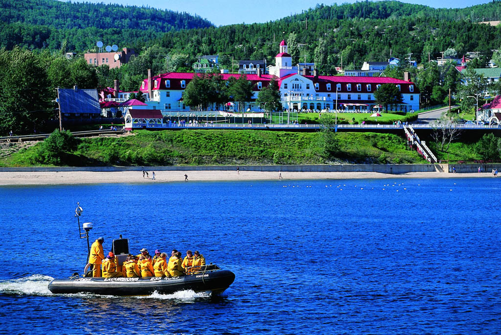 Whale Watching Tadoussac