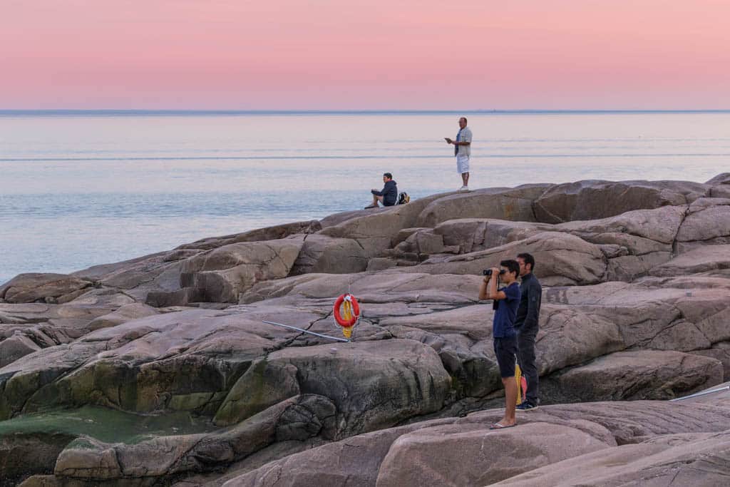 Whale Watching Tadoussac
