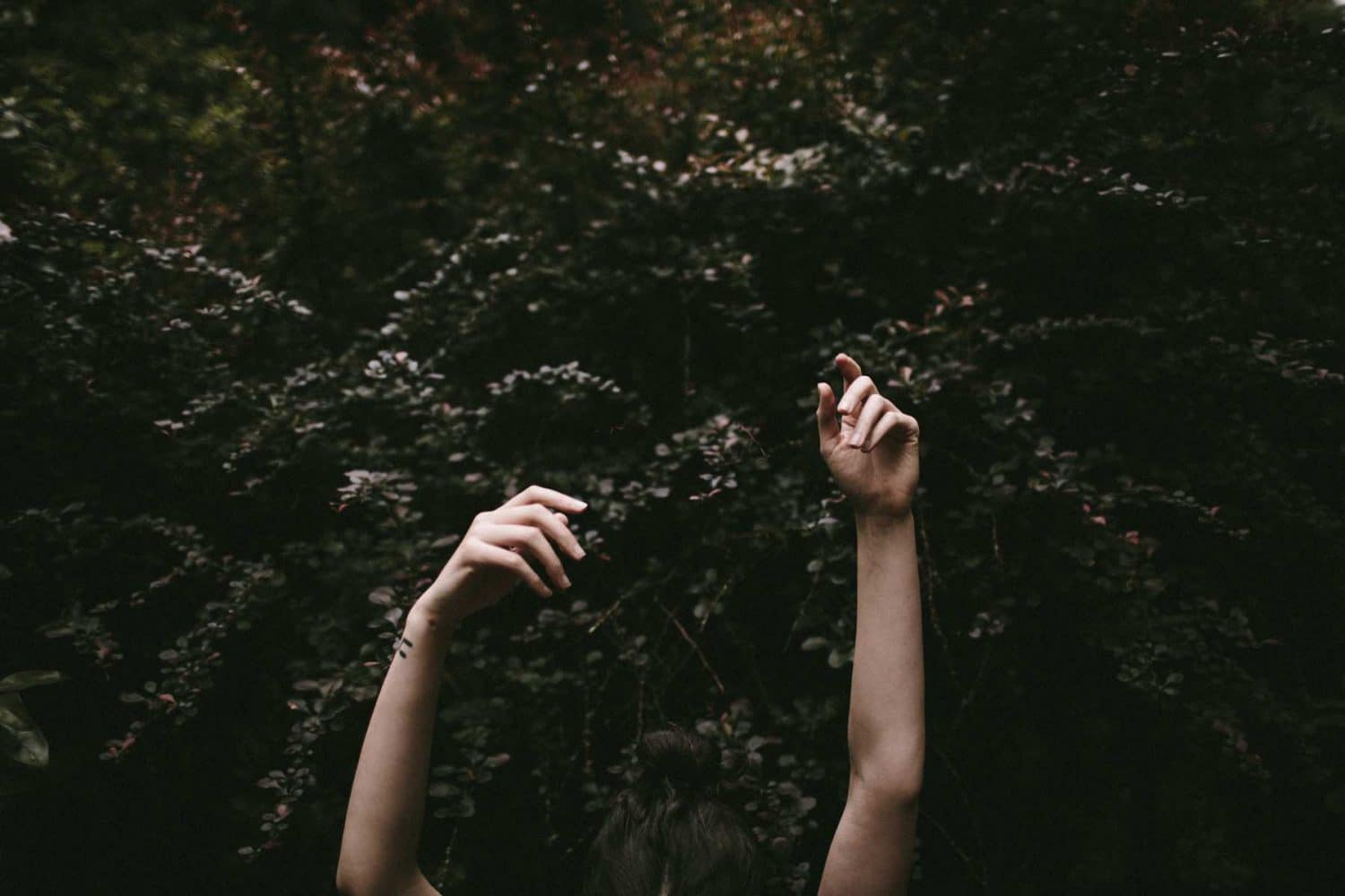6 Secrets Camp Wildfire Festival Will Unlock for You in the Woods