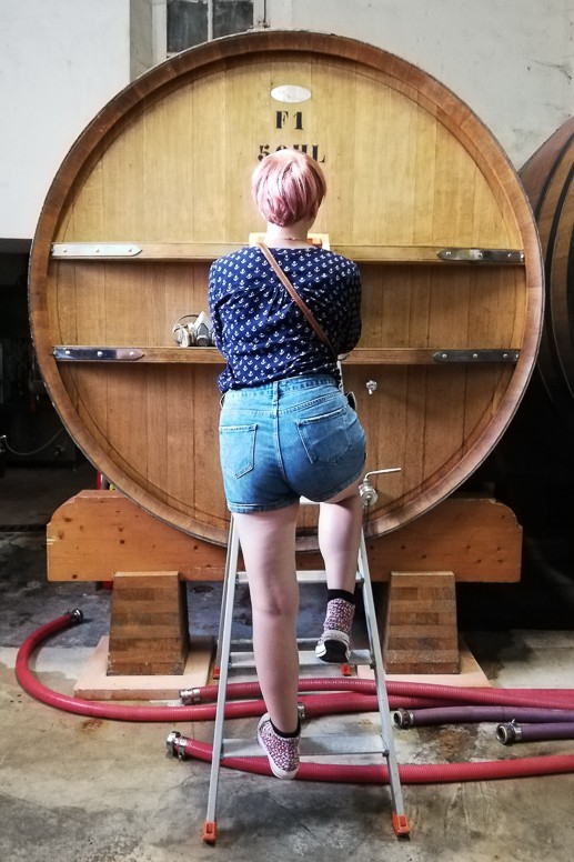Wine Tasting in Provence