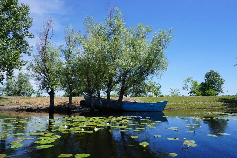 Put the Danube Delta in Romania on your trip to Romania list
