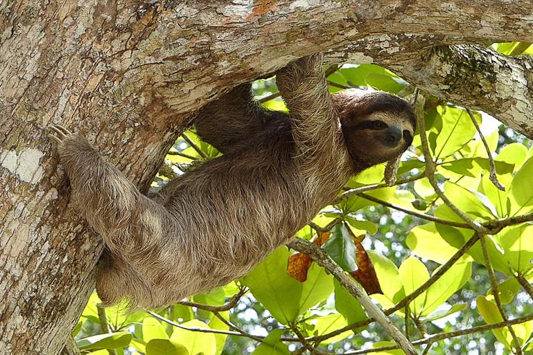 Teach abroad with no degree in Costa Rica
