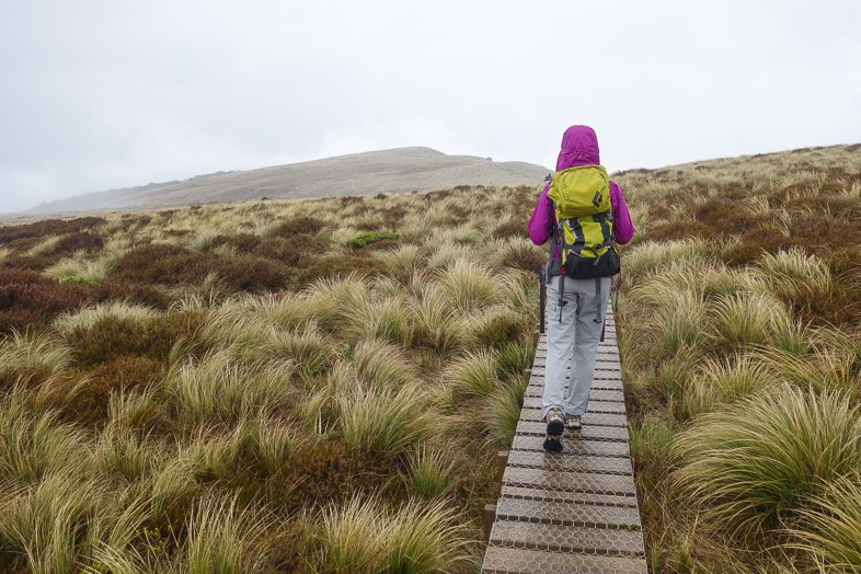 Trek New Zealand
