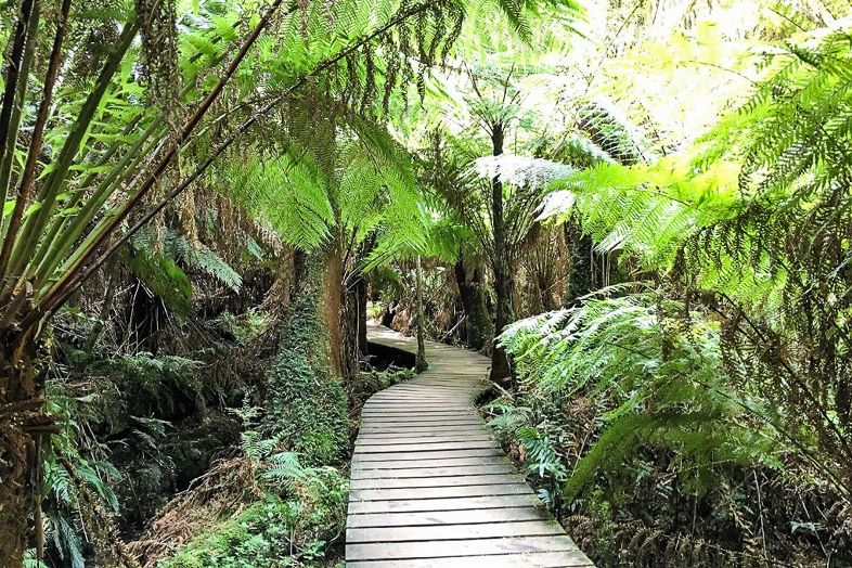 Hiking in New Zealand