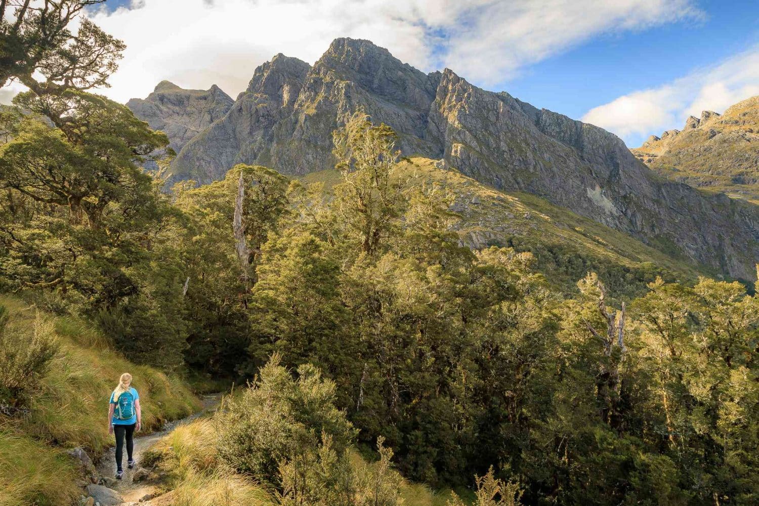 The Best Hikes in New Zealand, Australia and Beyond!