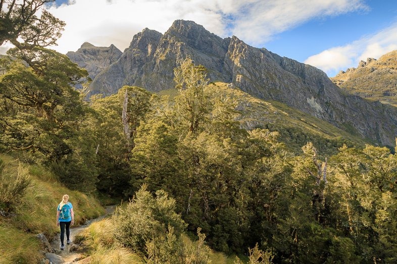 Hiking New Zealand