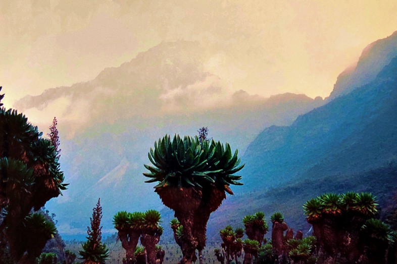 Best Hikes in Africa