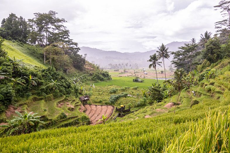 Bali Hiking