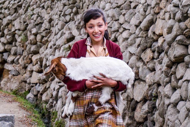 Pakistani girl with a goat
