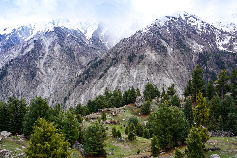 Fairy Meadows in Pakistan