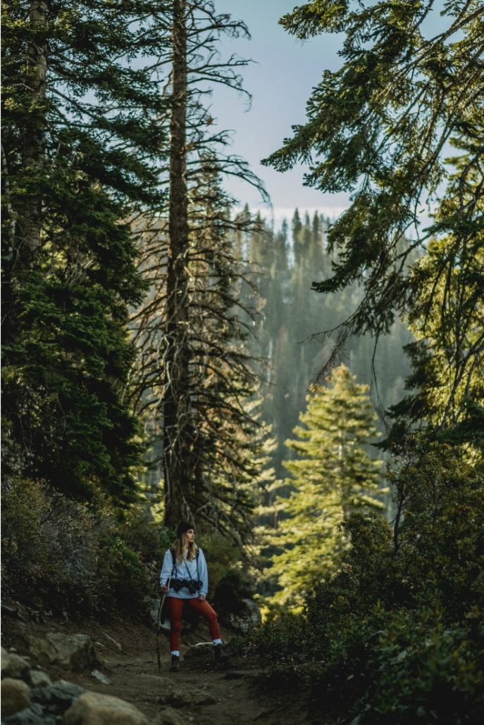 A woman in a white jumper and red trousers stands on a forest trail among tall pines.