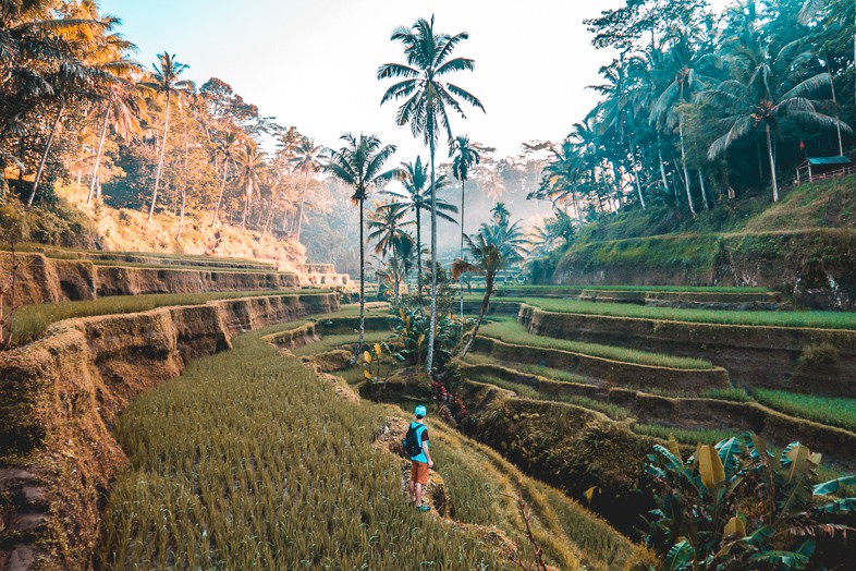 Solo traveler walking through fields in Bali as one of their reasons to travel
